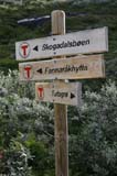 Norge 2010_0467