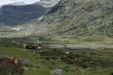 Norge 2010_0541