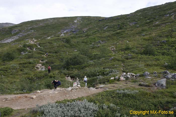 Norge 2010_0313