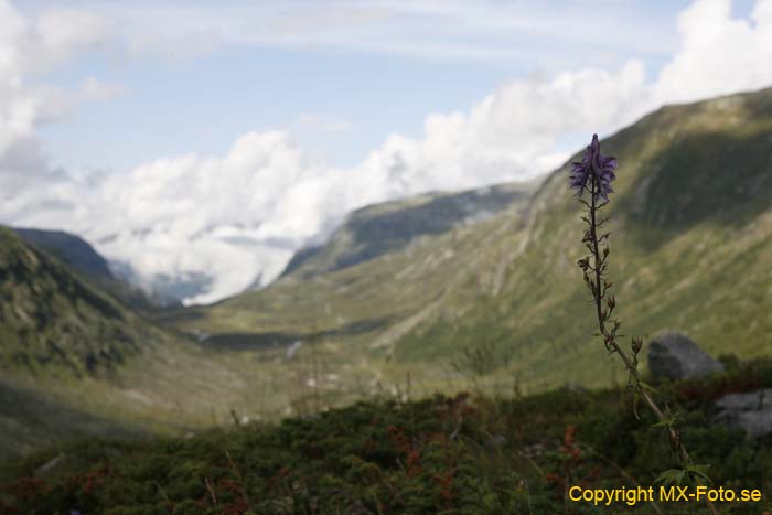 Norge 2010_0464